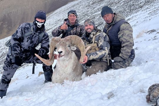 Hunting to Marco Polo in Kyrgyzstan