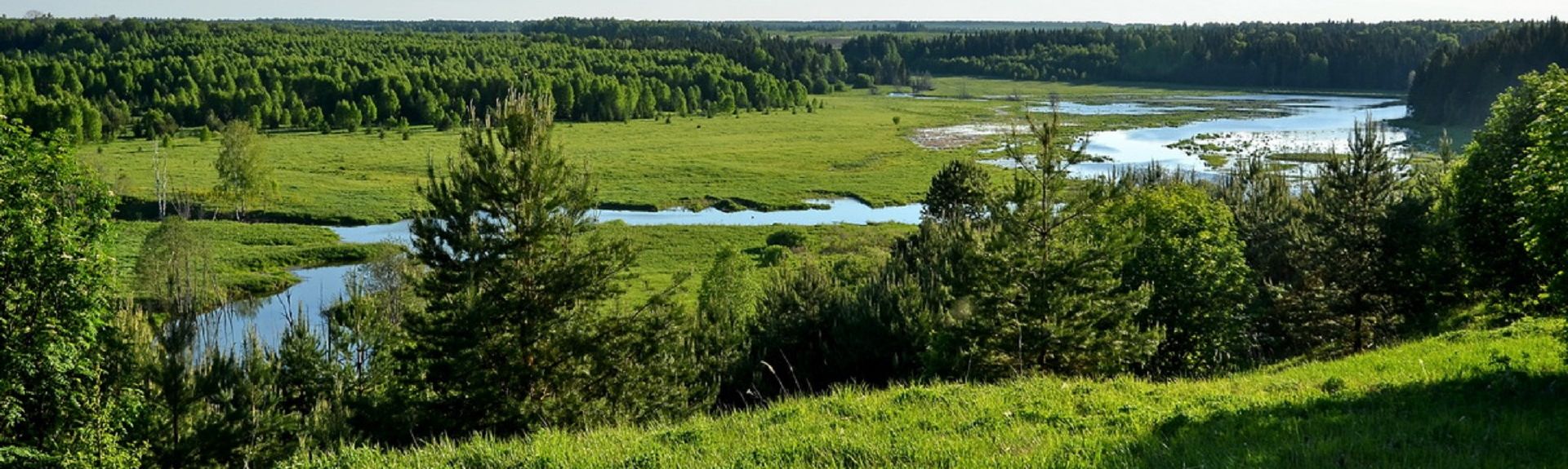 Hunting in Russia