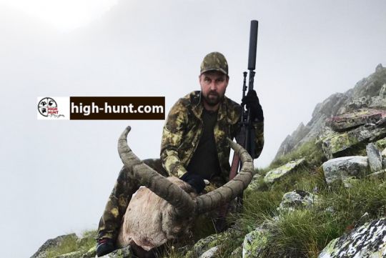 Hunting to Mid-Caucasian tur