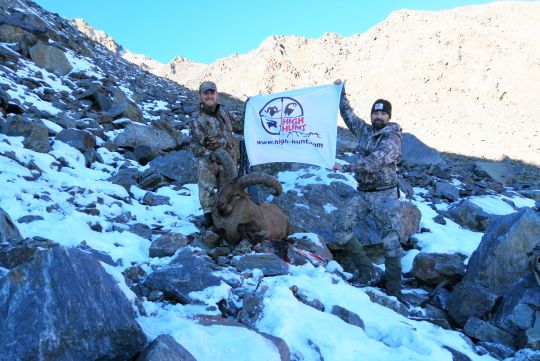 Hunting to mid-caucasian tur