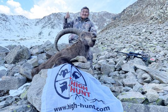 Hunting to mid-caucasian tur