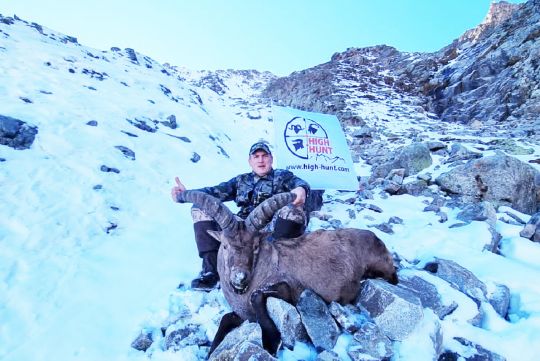Hunting to Mid-Caucasian tur