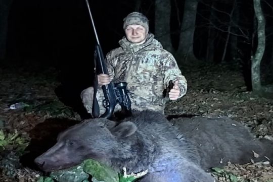 Hunting to brown bear in Russia